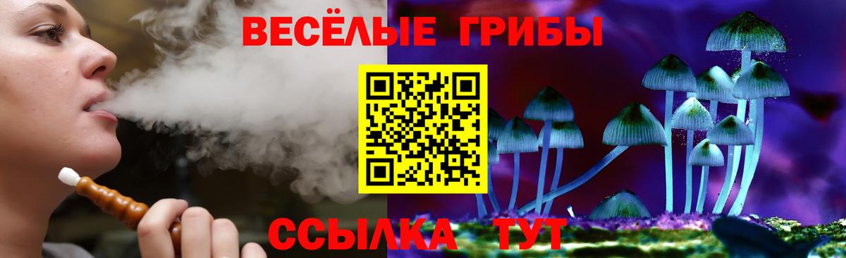 Псилоцибиновые грибы Psilocybine cubensis Пушкино